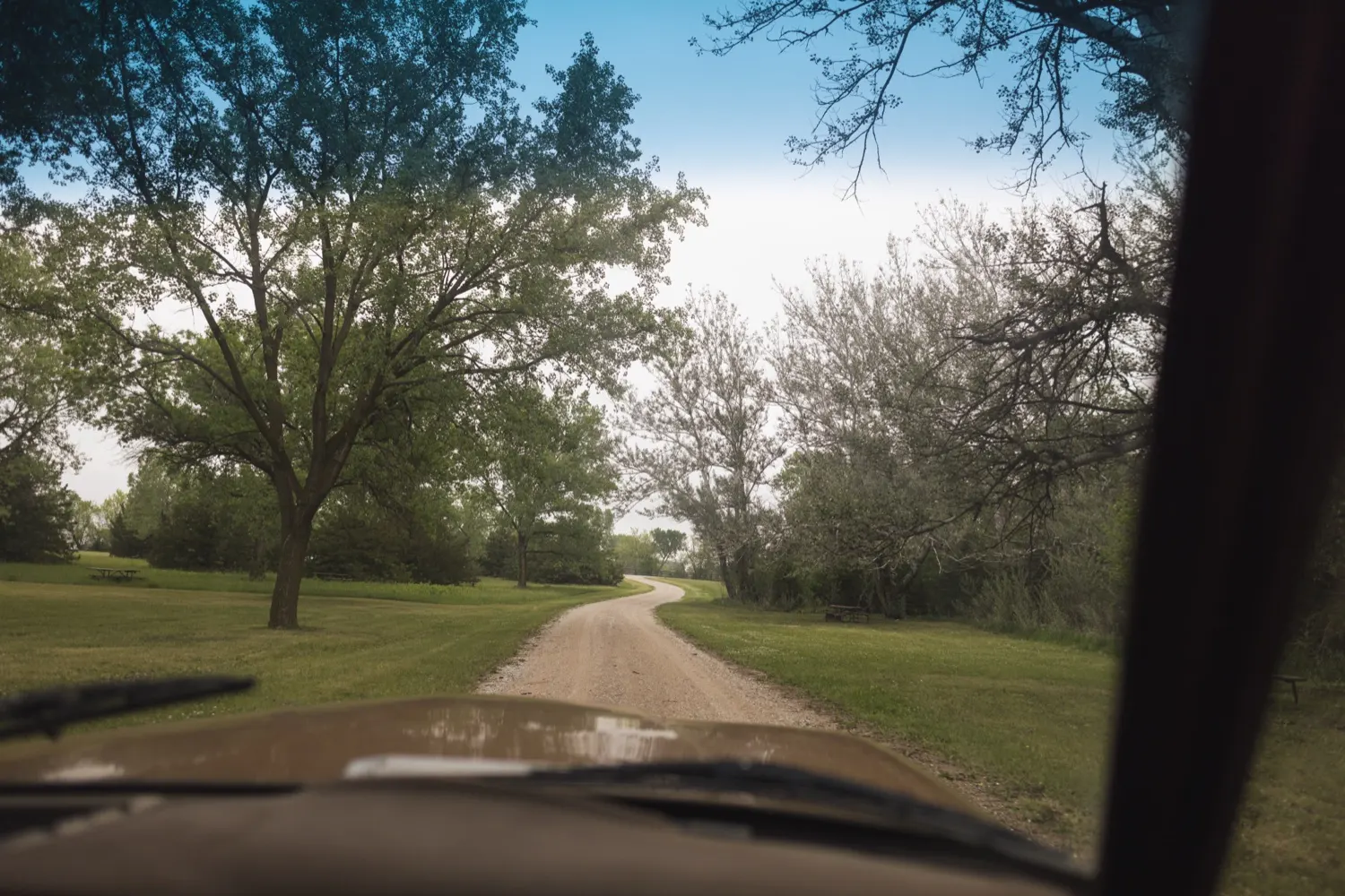 Gravel drive under the trees on the way in to Bluestem Lake
