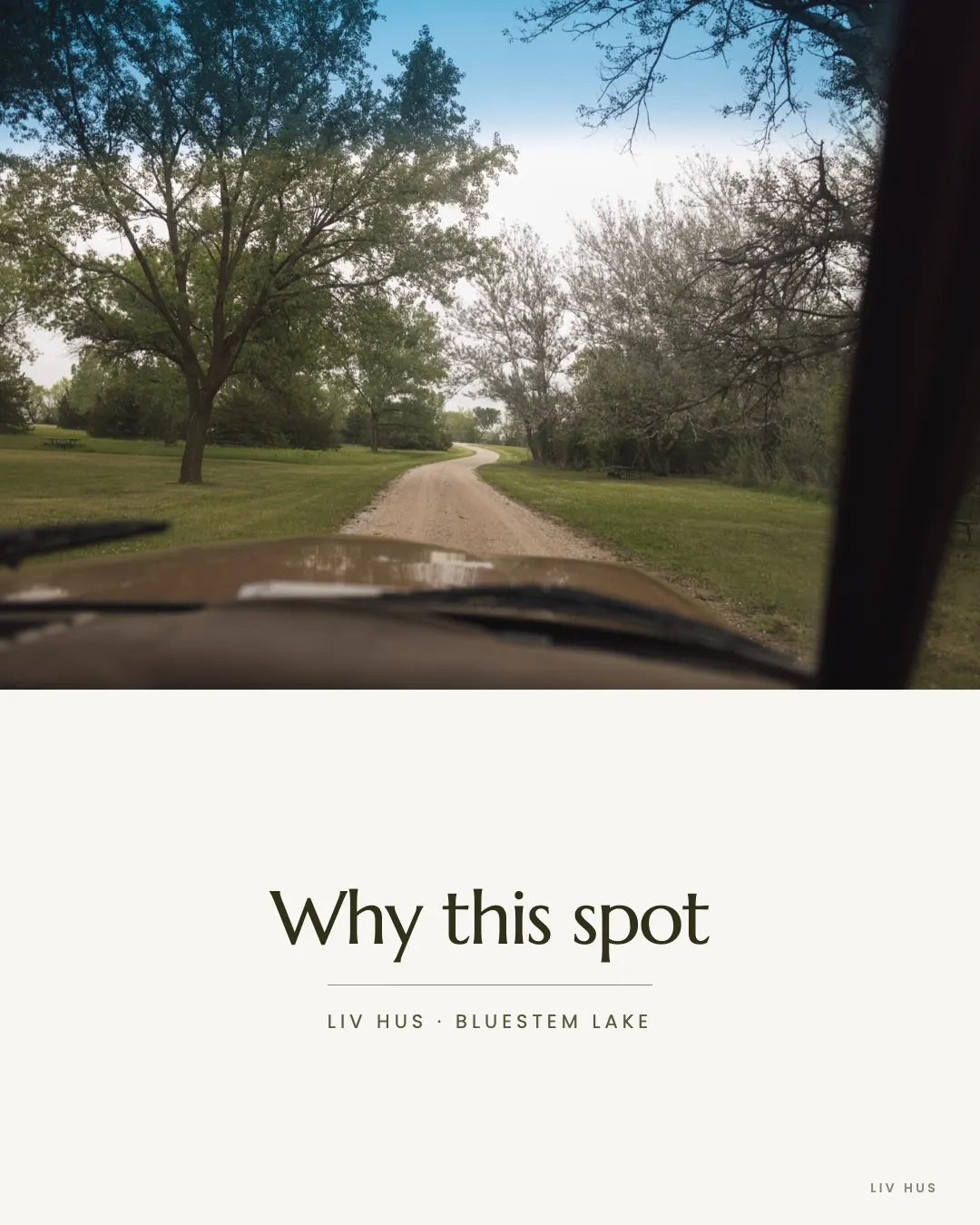 As soon as I drove by this spot, I knew. And if you know me, you know I love trees.